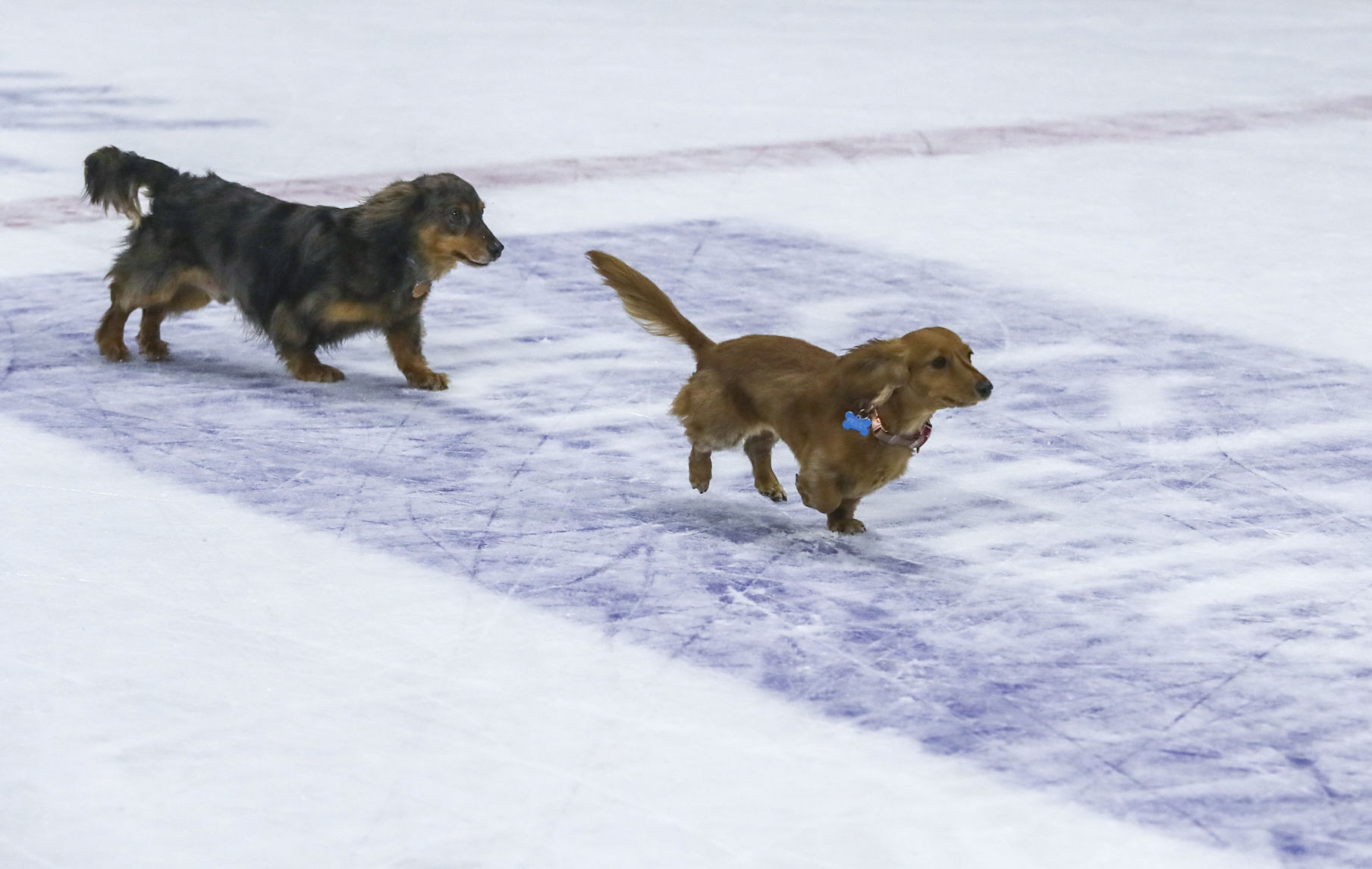 021819-qct-spt-storm-hockey-037